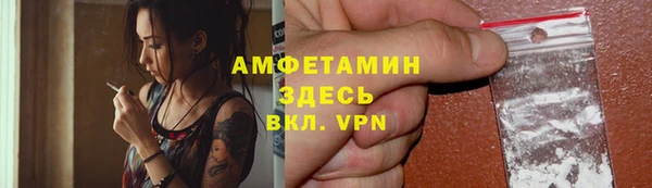 PSILOCYBIN Алзамай